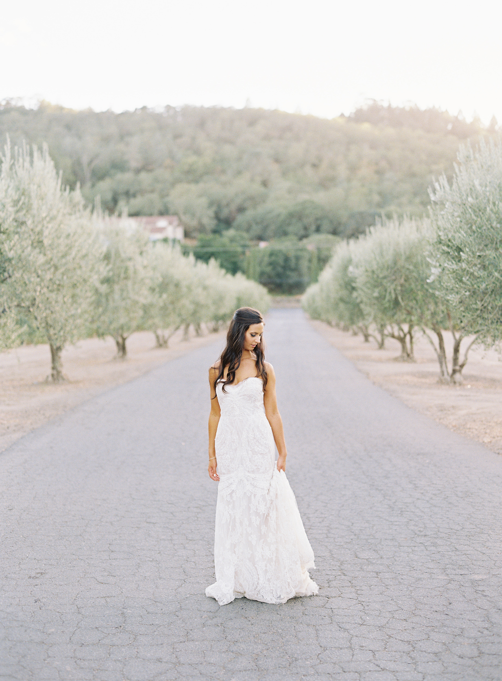 a bride poses for a film photograph on her wedding day in Napa.