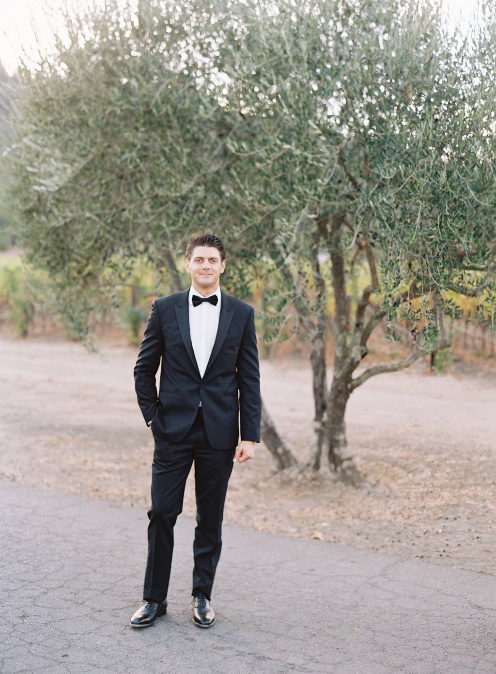 A groom poses in front of an olive tree in napa valley, california, on his wedding day. 